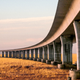 Illustration for article titled Congress Passes Bill To Build New 35-Mile Overpass Capable Of Housing Millions Of Evicted Americans